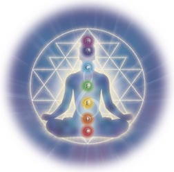 A picture showing the chakras.